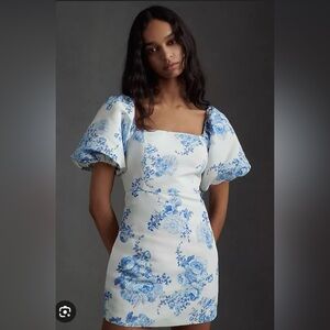Sachin & Babi Kendall Chinoiserie Mini Dress (Anthropologie)